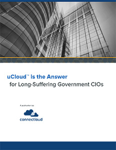 Long-Suffering Government CIOs